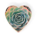 Mini Heart Magnets: Coastal, Succulent, and Nature - Hand-Transferred Photos on Wood, Various Images
