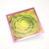California Succulent and Poppy Foil Greeting Card - Choice of 5 Images or Assortment Pack of 10