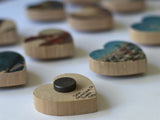 Mini Heart Magnets: Coastal, Succulent, and Nature - Hand-Transferred Photos on Wood, Various Images