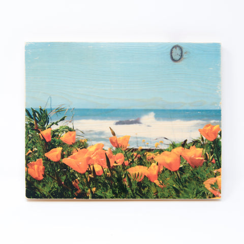Poppies Ocean Vista, Pescadero CA - Rectangle