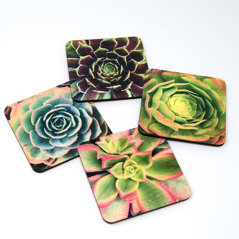 Succulent Coasters - Set of 4