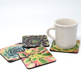 Succulent Coasters - Set of 4