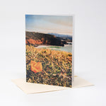 San Francisco and Coastal Single Notecard - Assorted Images