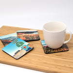 Northern California Coastal Coasters