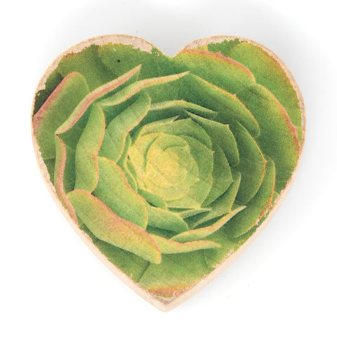 mini succulent magnets Mini Heart Magnets: Coastal, Succulent, and Nature