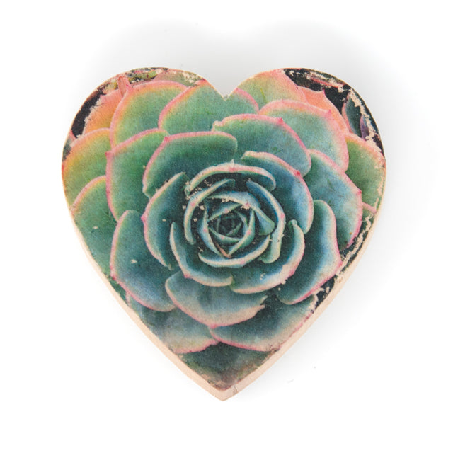 succulent transfer Mini Heart Magnets: Coastal, Succulent, and Nature