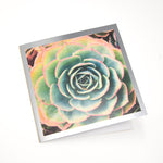 California Succulent and Poppy Foil Greeting Card - Choice of 5 Images or Assortment Pack of 10