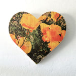 Springtime Golden Poppies, California State Flower - Heart