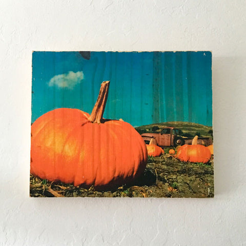 The Pumpkin Farm: Half Moon Bay - Rectangle