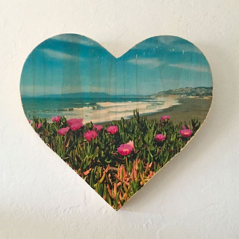 Iceplant View: Pacifica Pier - Heart