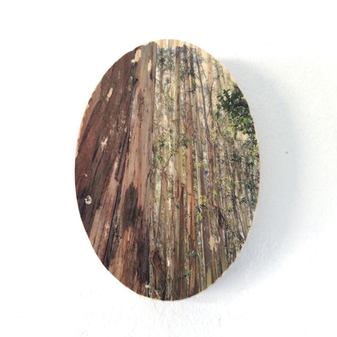 Eucalyptus Grove - Oval