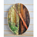 Peeling Eucalyptus - Oval