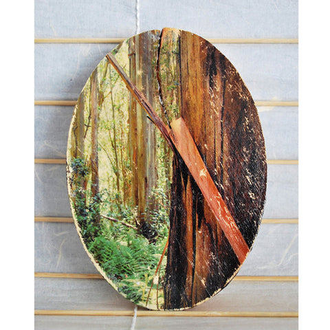 Peeling Eucalyptus - Oval