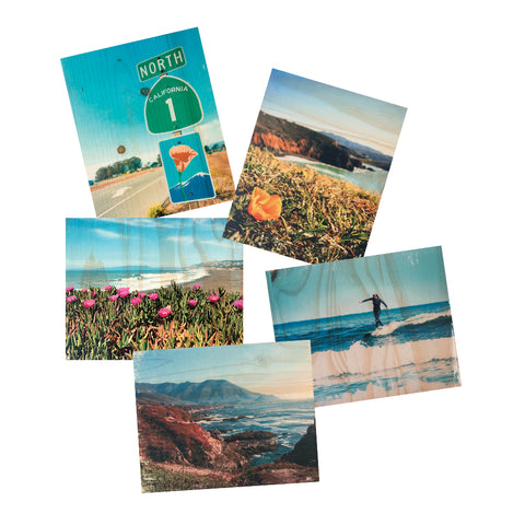 Postcard Set - Coastal Nature Pack